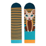 Chaussettes Arty Chat Sphynx