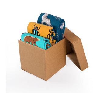 Coffret de 3 paires de Chaussettes Enfants Coton Forêt Loup Scarabé Ours