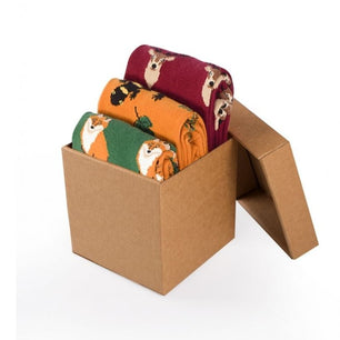 Coffret de 3 paires de Chaussettes Coton Forêt Cerf Salamandre Renard