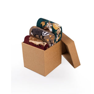 Coffret de 3 paires de Chaussettes Coton Histoires d’automne – Blaireau, Hérisson, Hibou
