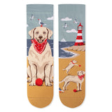 Chaussettes Arty Golden Retriever
