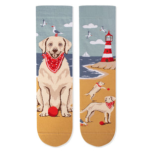 Chaussettes Arty Golden Retriever