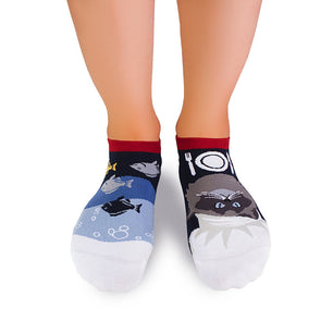 Socquettes Arty Chat Himalayen Bleu rouge