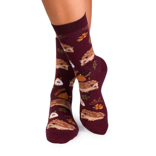 Chaussettes Coton Histoires d’automne – Hérisson