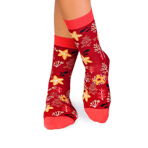 Chaussettes Coton fin Étoiles de mer