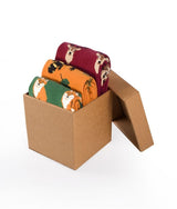 Coffret de 3 paires de Chaussettes Coton Forêt Cerf Salamandre Renard