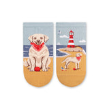 Socquettes Arty Golden Retriever