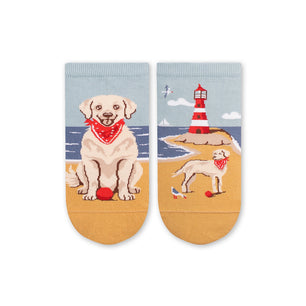 Socquettes Arty Golden Retriever