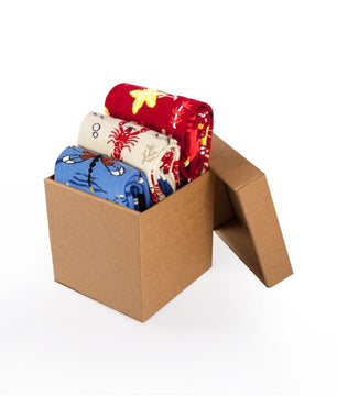Coffret de 3 paires de Chaussettes Coton fin Vie marine Homards Libellules Étoiles de mer