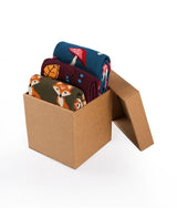 Coffret de 3 paires de Chaussettes Coton Automne Champignons Feuilles Renards